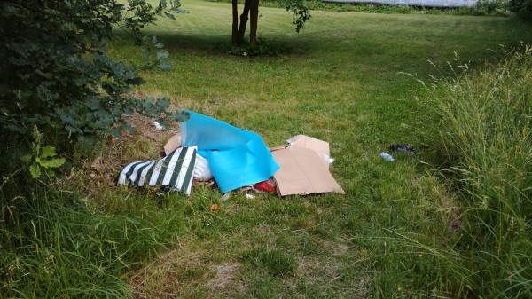 Revitalizace plochy mezi dolní částí ulice Lesní a MŠ v ulici Zahradní. Vybudování areálu víceúčelového a vícegeneračního hřiště.