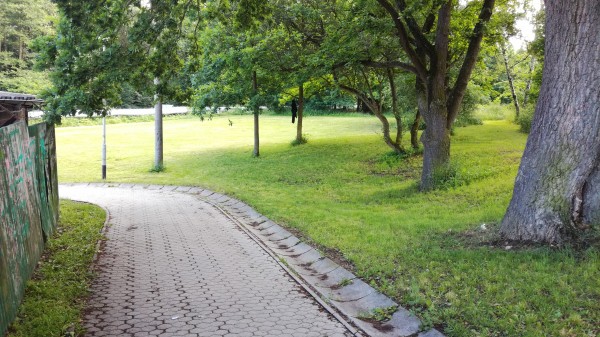 Revitalizace plochy mezi dolní částí ulice Lesní a MŠ v ulici Zahradní. Vybudování areálu víceúčelového a vícegeneračního hřiště.