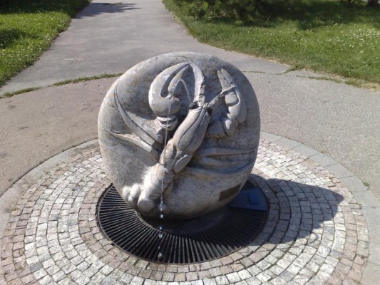 Osvěžující pítka