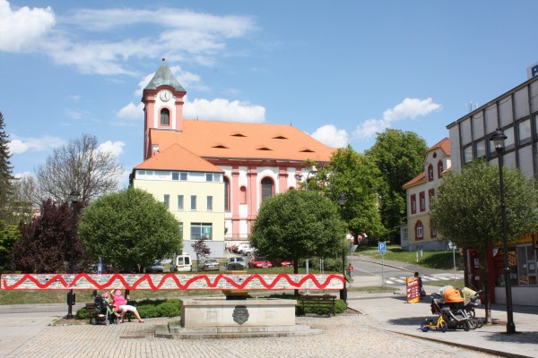 Osázení svahu nad silnicí pod kostelem sukulenty